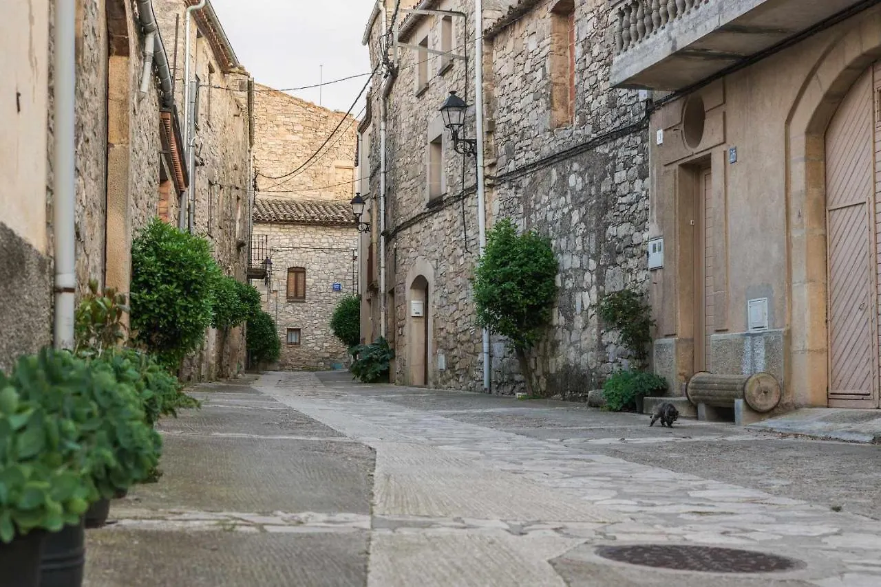Holiday home Casa Bellmon Vive El Astroturismo En Belltall Passanant i Belltall Spain